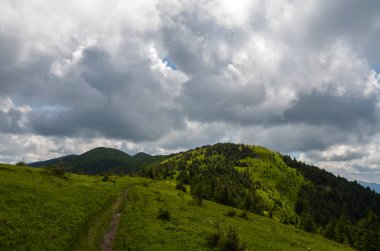 Bulutlu gökyüzünün altında dik yamaçlı yeşil yuvarlanan tepeler. Yazın Karpat Dağları 'nın güzel doğal manzarası. Ukrayna