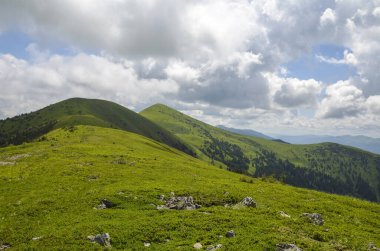 Bulutlu gökyüzünün altında dik yamaçlı yeşil yuvarlanan tepeler. Yazın Karpat Dağları 'nın güzel doğal manzarası. Ukrayna