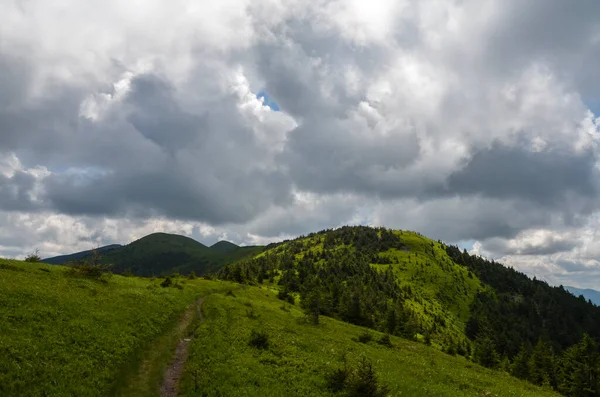 Bulutlu gökyüzünün altında dik yamaçlı yeşil yuvarlanan tepeler. Yazın Karpat Dağları 'nın güzel doğal manzarası. Ukrayna