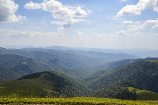Yeşil yaz ormanlarının ve arka planda bulutların altında dağ sırtı olan vadilerin güzel doğa manzarası. Karpat Dağları, Ukrayna 