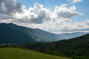Kırsal manzara gökyüzü, yeşil çimenler ve Karpat Dağları 'ndaki tepenin ormanı. Yazın çok güzel doğal bir manzara. Seyahat ve aktif tatil kavramı