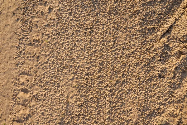 Surface Fine Grain Wet Sand Rain Texture Background — Stock Photo, Image