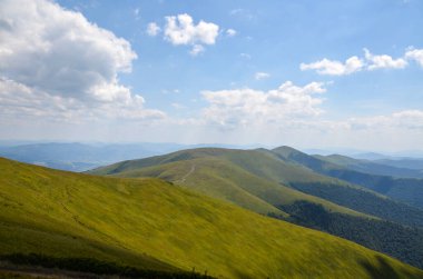 Muhteşem bulutların altında kayın ormanları olan otlak tepeler. Karpatlar, Ukrayna 'nın güzel dağ sırtı manzarası 