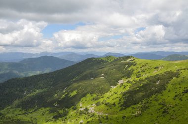 Dağ yamacının rengarenk manzarası. Ukrayna 'nın güzel Karpat dağlarına bakan çok renkli otlar.