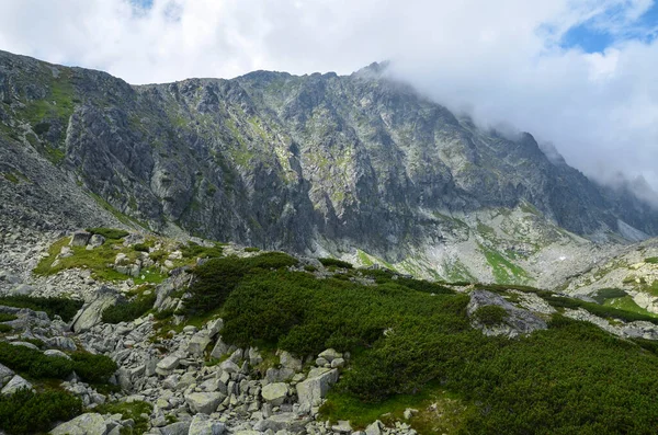 Krajobraz Górski Słowacji Skalista Dolina Górska Skały Wspinaczkowe Zachmurzonym Niebem — Zdjęcie stockowe