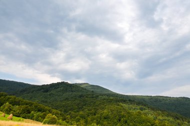 Karpat Dağları 'ndaki resimli yaz manzarası. Bereketli yeşil orman ve bulutlu gökyüzü. Seyahat arkaplanı kavramı