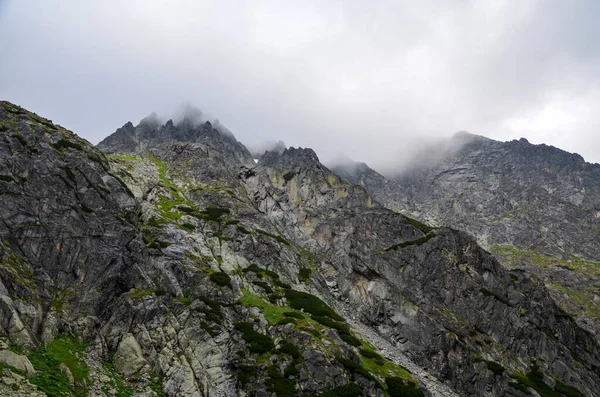 Niesamowity Naturalny Krajobraz Kamieniami Skałami Mgle Zachmurzonym Niebem Mglisty Letni — Zdjęcie stockowe