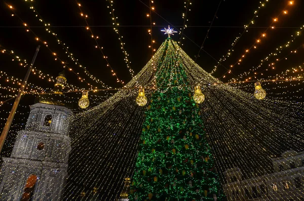 Choinka Ozdobiona Światłami Zewnątrz Katedra Sophia Tle Kijowie Obchody Nowego — Zdjęcie stockowe