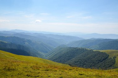 Yoğun yeşil ormanlarla kaplı dağ yamaçları ve gün ışığında yabanmersini tarlaları. Yazın Ukrayna Karpatları