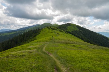 Yeşil çimenli dağ sırtı boyunca dağ yolu bulutlu gökyüzünün altındaki uzak dağ zirvesine kadar uzanıyor. Karpat Dağlarında Tur