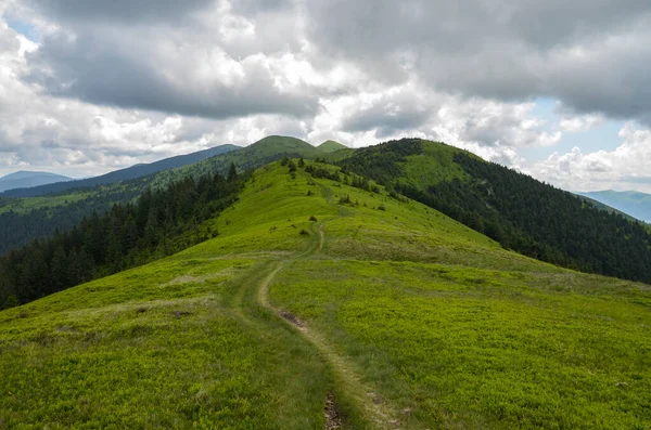 Yeşil çimenli dağ sırtı boyunca dağ yolu bulutlu gökyüzünün altındaki uzak dağ zirvesine kadar uzanıyor. Karpat Dağlarında Tur
