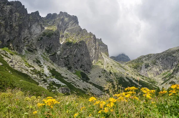Άποψη Της Κοιλάδας Του Βουνού Φρέσκο Γρασίδι Και Ανθισμένα Λουλούδια — Φωτογραφία Αρχείου