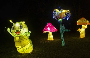 Çin geleneksel tırtıl mantarı feneri ve gece aydınlatılmış çiçek. Çin yeni yılı ve fener festivali.