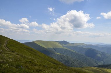 Borzhava dağ sırtının muhteşem manzarası yazın yeşil yaban mersini tarlasını ve sık ormanı kaplıyordu. Karpat Dağları, Transcarpathia, Ukrayna
