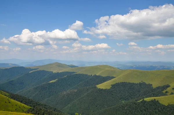 Borzhava dağ sırtının muhteşem manzarası yazın yeşil yaban mersini tarlasını ve sık ormanı kaplıyordu. Karpat Dağları, Transcarpathia, Ukrayna
