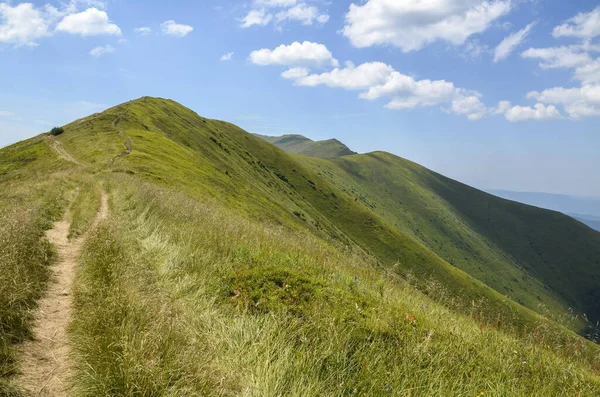 Yaz günü dağın zirvesine giden yeşil dağlar ve turistik dağ yolu. Karpatlar, Ukrayna