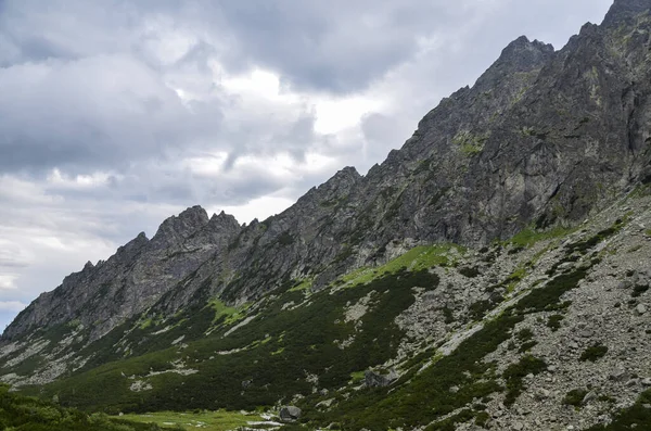 Zdjęciu Szczyty Stoki Sosnowymi Wapiennymi Skałami Tatr Wysokich Północnej Słowacji — Zdjęcie stockowe