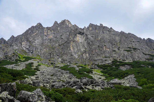 图为斯洛伐克北部塔特拉山高山的松树和石灰岩的山峰和斜坡 — 图库照片