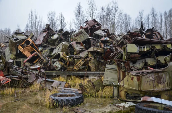 Bir grup çürümüş Sovyet paslı otomobili ormanda terk edilmiş. Araba çöplüğü