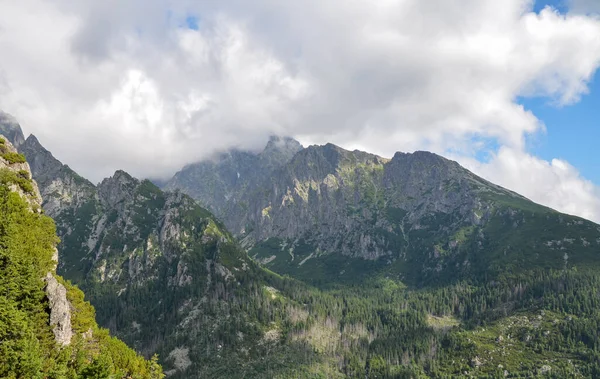 Sharp Rocky High Ridges Mountain Ranges Covered Trees Vegetation Cloudy — Zdjęcie stockowe