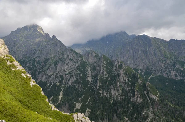 曇った空の下で木々や植生に覆われた山脈のシャープな岩の高い尾根 ハイタトラ スロバキア — ストック写真