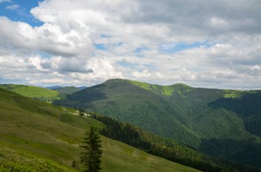 Güzellik manzarası, dağ sıraları ve yeşil ormanlarla kaplı tepeler, mavi gökyüzünün altında bulutlar. Karpat Dağları, Ukrayna