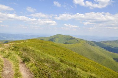 Yoğun bir şekilde yemyeşil çimlerle kaplı, mavi gökyüzünün altında, bir yaz günü bulutlarla kaplı bir dağ manzarası. Karpatlar, Ukrayna