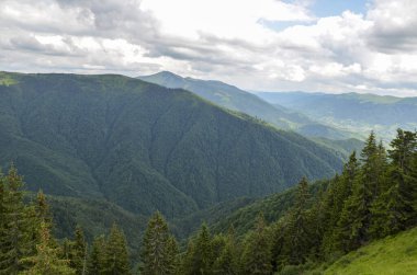 Güzellik manzarası, dağ sıraları ve yeşil ormanlarla kaplı tepeler, mavi gökyüzünün altında bulutlar. Karpat Dağları, Ukrayna