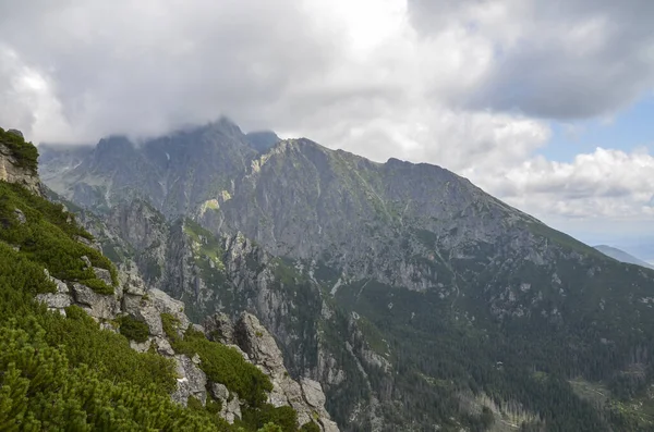 Sharp Rocky High Ridges Mountain Ranges Covered Trees Vegetation Cloudy — Zdjęcie stockowe