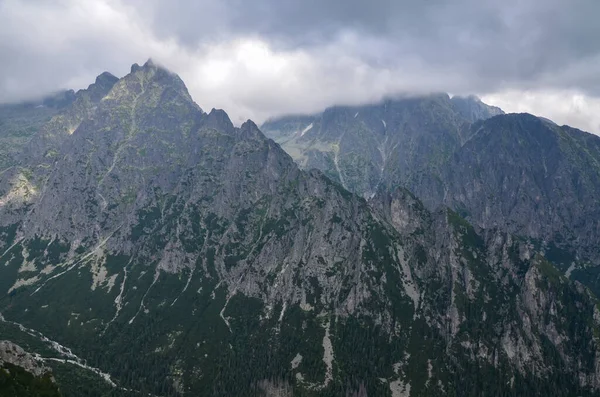 Bulutlu bir gökyüzünün altında ağaçlarla ve bitki örtüsüyle kaplı yüksek dağ sıralarının keskin kayalıkları. Yüksek Tatras, Slovakya