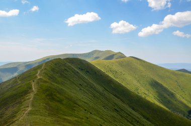 Ukrayna Karpatya Dağları 'nın yaban mersinli yaban mersinli ve otlak otlaklı ovalarıyla panoramik dağ manzarası