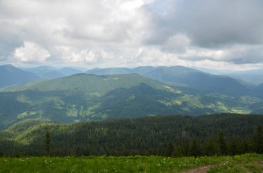 Ormanın kenarındaki yeşil çayır ve arka plandaki dağ sırası. Karpat Dağları, Ukrayna