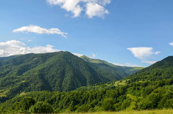 Malerischer Blick Auf Grüne Berghügel Mit Wiesen Wald Und Berggipfel — Stockfoto