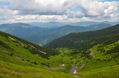 Dağ yamaçlarının tepesi yemyeşil çimlerle kaplıydı ve vadi sık ormanlarla kaplıydı. Dağlara ve açık hava aktivitelerine gidin. Karpatlar, Ukrayna
