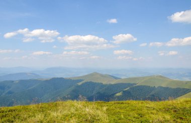Yoğun orman ve alp yeşili çayırlarla kaplı bir dağ sırasının doğal yaz manzarası. Karpat Dağları, Ukrayna