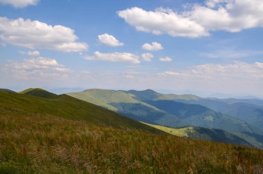 Yoğun orman ve alp yeşili çayırlarla kaplı bir dağ sırasının doğal yaz manzarası. Karpat Dağları, Ukrayna