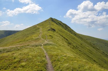 Borzhava Sıradağları, Karpat Dağları, Ukrayna 'da güneşli bir günde, dik yamaçtaki dağ yolu yeşil yemyeşil otları kaplamıştır.