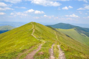 Borzhava Sıradağları, Karpat Dağları, Ukrayna 'da güneşli bir günde, dik yamaçtaki dağ yolu yeşil yemyeşil otları kaplamıştır.