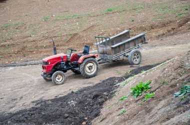 Sonbaharda yetiştirme mevsiminin sonunda tarlada boş karavanı olan küçük bir çiftlik kırmızı traktörü. Tarım makineleri. Hasat mevsimi