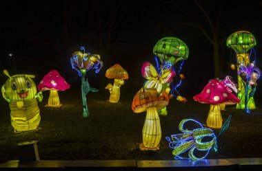 Çin geleneksel tırtıl mantarı feneri ve gece aydınlatılmış çiçek. Çin yeni yılı ve fener festivali.