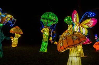 Çin Fener Festivali 'nden geleneksel lambalar. Sokak lambaları uğur böceği, mantar ve çiçeklerin heykeli