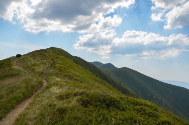 Yaz zirvelerinin manzarası mavi gökyüzünün altındaki yeşil çimenleri bulutlarla kaplıyordu. Karpat Dağları, Ukrayna 
