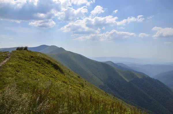 Yaz zirvelerinin manzarası mavi gökyüzünün altındaki yeşil çimenleri bulutlarla kaplıyordu. Karpat Dağları, Ukrayna 