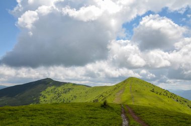 Tepelerinde yemyeşil çimenler ve arka planında bulutlu mavi gökyüzü olan güzel dağ sırtı. Karpatlar, Ukrayna
