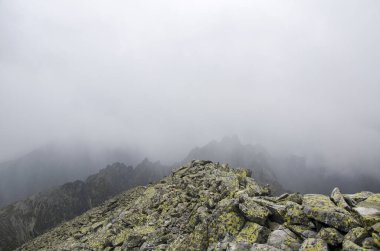 Slovakya 'da alçak bulut ve sisli yüksek Tatras doğal kayalık dağ manzarası