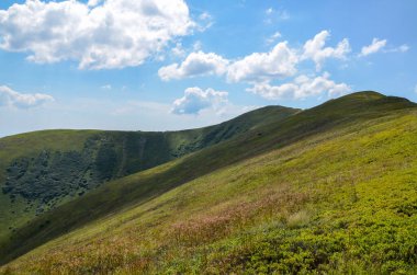 Dağ sıraları, yeşil yamaçlar ve yaz günü alp çayırları olan resimli bir manzara. Karpat Dağları, Ukrayna