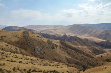 Tepedeki rahatlama manzarası, Ermenistan 'daki Kafkasya dağlarının ender bitki örtüsüne sahip dağ yamaçları.