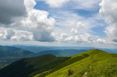 Çimenli yamaçları ve Ukrayna Karpat Dağları 'nın otlak otlakları olan ağaçlı yeşil bir vadi. Doğal arka plan ve seyahat hedefi