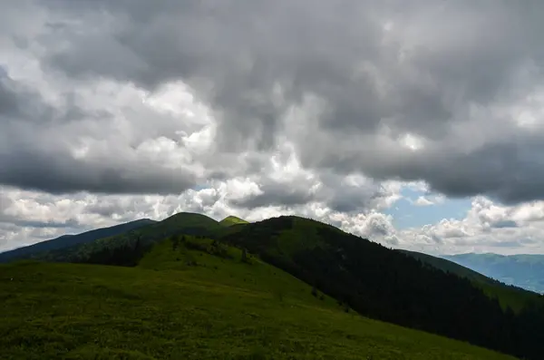 Paisagem Montanha Alpina Com Trilha Prado Verde Picos Gramados Floresta — Fotografia de Stock
