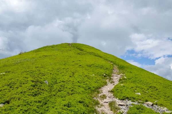 Summer Landscape Hiking Trail Leading Mountain Peak Steep Green Slopes — Stockfoto